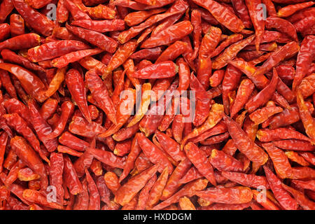 Getrocknete würzigen roten Vögel eye Chilis als eine abstrakte Hintergrundtextur Stockfoto