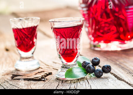 Frische Likör aus Chokeberries und Alkohol Stockfoto