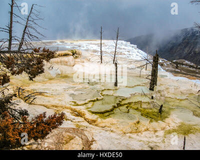 Mammoth Hot Springs, Yellowstone-Nationalpark. Stockfoto