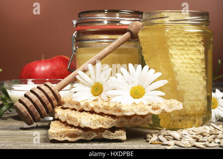 Honig mit Knäckebrot, Apfel und Sonnenblumen Kerne, Honig mit Knäckebrot, Apfel und Sonnenblumenkernen |, Honig Mit Kn‰ckebrot, Apfel Und Sonnenblumenkern Stockfoto