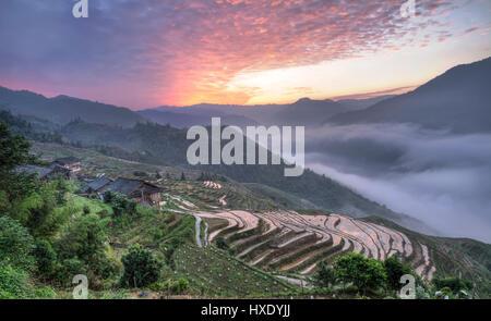 Longji Reisterrassen, Provinz Guangxi, china Stockfoto