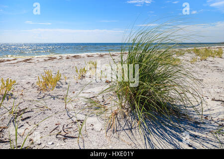 Cayo Costa State Park auf der Insel La Costa ist ungestört, unberührten weißen Sandstränden gesäumt. Stockfoto