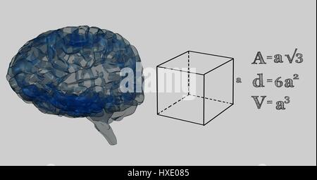 Digitalen Verbund von Blue Brain und schwarze Mathematik Grafiken vor grauem Hintergrund Stockfoto