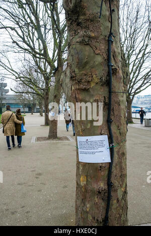 Bäume gefährdet Bedrohte Protest Southbank London South Bank beachten Stockfoto