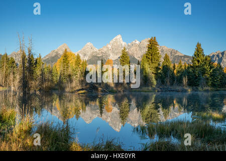 Teton Berge spiegeln am Snake River am Schwabacher Landung im Grand-Teton-Nationalpark, Wyoming Stockfoto