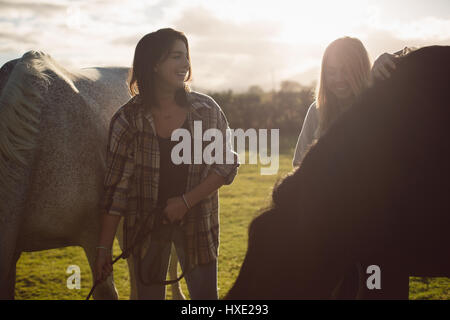 Frauen stehen mit Pferd in Ackerland an einem sonnigen Tag Stockfoto
