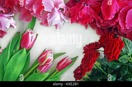 Hintergrund der Blüten von Rosen, Tulpen rosa und roten Cyclamen mit Platz für Text auf hellem Hintergrund Stockfoto