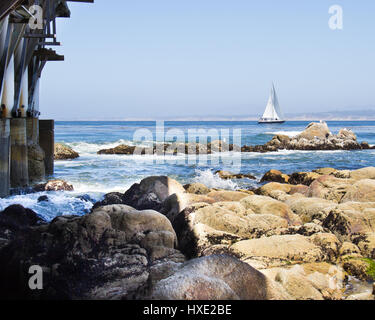 Segelboot segeln in Monterey Bay mit Küste in Sicht neben dem Pier mit Wellen gegen die Felsen und Strand. Stockfoto