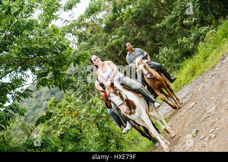 Reiten in der Landschaft, Hacienda Carabali, Rio Grande, Puerto Rico Stockfoto