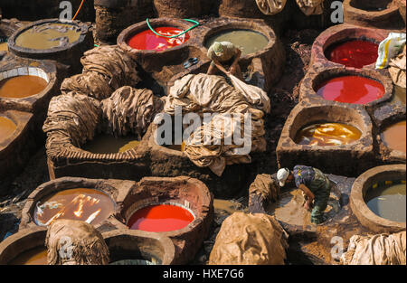 Gerberei in Fez, Marokko Stockfoto