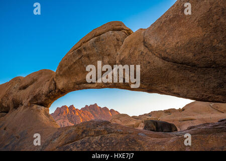 Spitzkoppe, einzigartige Felsformation im Damaraland, Namibia Stockfoto