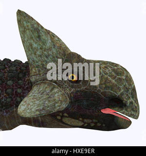 Ankylosaurus war ein Pflanzenfresser gepanzerte Dinosaurier, der in der Kreidezeit in Nordamerika lebte. Stockfoto