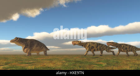 Permian Inostrancevia Jagden Keratocephalus - zwei Inostrancevia Dinosaurier gehen nach einem Keratocephalus auf eine grasbedeckte Ebene in der Permian Periode. Stockfoto