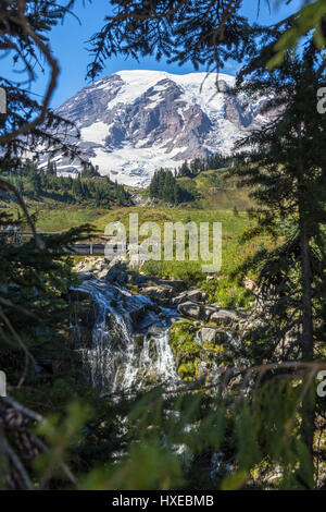 Myrtle fällt und Mount Rainier... einen kurzen Spaziergang vom Besucherzentrum am Paradies auf dem Skyline Trail.  Mount Rainier Nationalpark, Washington, USA Stockfoto