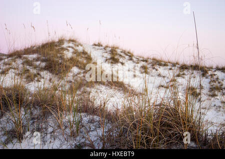 Naturlandschaft an Floridas Golfküste. Stockfoto