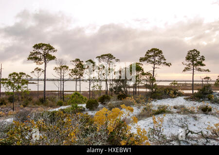 Naturlandschaft an Floridas Golfküste. Stockfoto