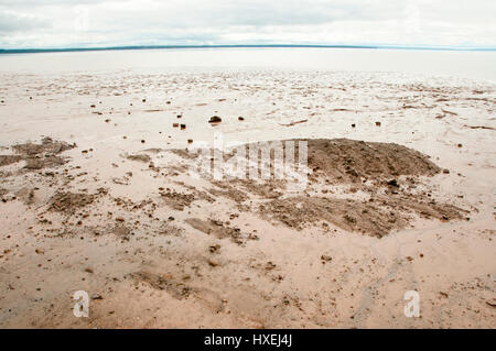 Low Tide Beach auf der Bay Of Fundy - New Brunswick - Kanada Stockfoto