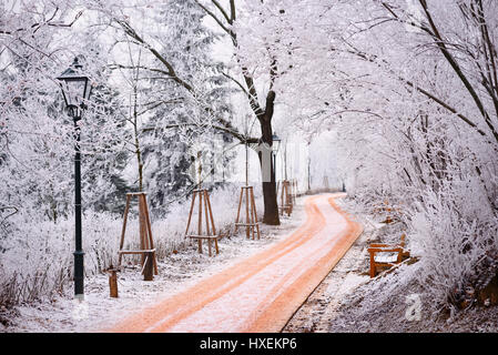 Rime Bäume im Winter City Park in Brünn, Tschechische Republik Stockfoto