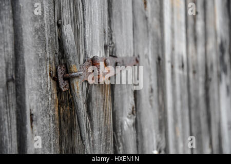 Eine verrostete Klinke auf eine alte Holzschuppen Tür Stockfoto