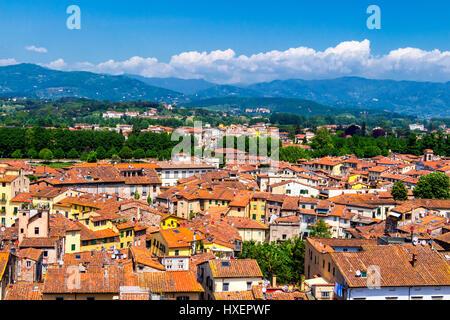 Blick über die italienische Stadt Lucca mit typischen Terrakottadächer Stockfoto