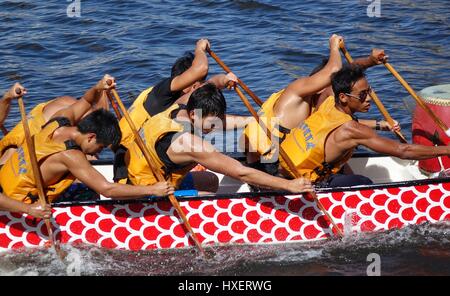 KAOHSIUNG, TAIWAN--14. Juni 2015: ein nicht identifiziertes Team der Ruderer Züge für die kommende Drachenboot-Rennen auf dem Fluss der Liebe. Stockfoto