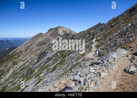 Fremont Lookout Trail, Suche Schutz Feuer webt über einen felsigen Hang mit herrlichem Blick rundum.  Mount Rainier Nationalpark, Washington, USA Stockfoto