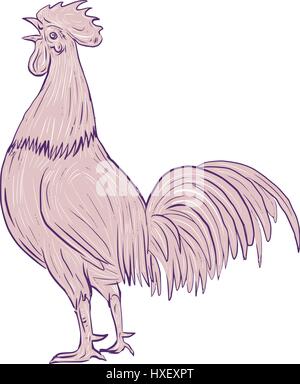 Zeichnung Skizze Stil Illustration ein Huhn Hahn krähen der Seitenansicht auf isolierten weißen Hintergrund gesetzt. Stock Vektor