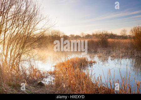 Nebel steigt aus einem Teich in Barton-upon-Humber, North Lincolnshire, früh an einem Frühlingsmorgen im März 2017. Stockfoto