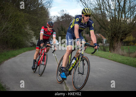 Waregem, Belgien. März 2017. Matt Hayman beim 2017 Dwars Door Vlaanderen eintägigen Radrennen. Stockfoto