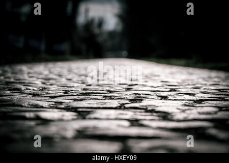 Waregem, Belgien. 22. März 2017. Detail der Pflaster (Herlegemstraat) während der 2017 Dwars Door Vlaanderen eines Tages-Radrennen. Stockfoto