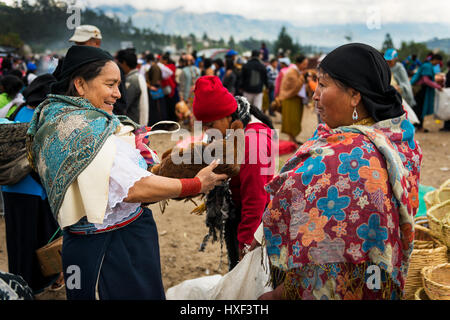 Otavalo, Ecuador - 1. Februar 2014: Frau verkaufen ein Huhn auf dem Viehmarkt der Stadt Otavalo in Ecuador. Stockfoto