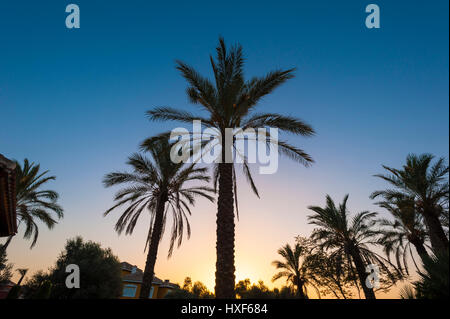 InterContinental Mar Menor Golf Resort & Spa, Region Murcia, Spanien, Europa Stockfoto