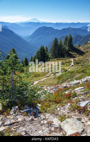 Wanderweg führt nach Süden vom Pinnacle Sattel und die Tatoosh Range zum Vulkangipfel Mount Adams Stockfoto