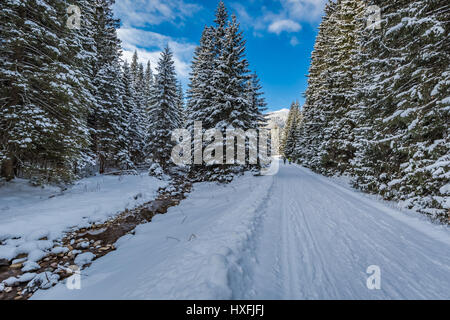 Bergweg führt zu Chocholowska Tal im Winter, Tatra, Polen Stockfoto