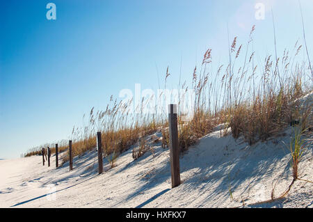 Gulf Coast Strand Dünen mit Schranke und Sehafer. Stockfoto