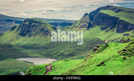 Atemberaubende Aussicht auf Schafe in Quiraing, Isle Of Skye, Schottland Stockfoto