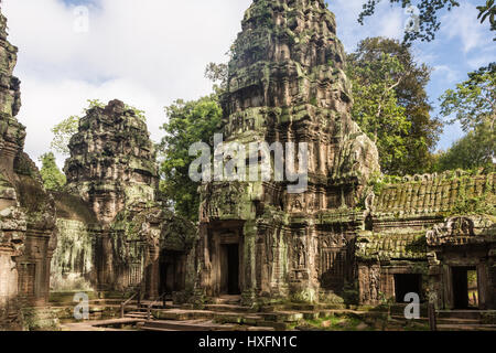 Die Ruine der alten Ta Phrom Tempel in der Khmer-Anlage von Angkor in der Nähe von Siem Reap in Kambodscha. Dies ist einer der Hauptgrenzstein von Südostasien und ar Stockfoto