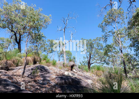 Mundaring Weir Reservoir Bereich, Western Australia, in der Nähe von Perth. Stockfoto