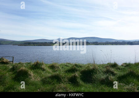 Schöne Aussicht auf Blessington See in Co. Wicklow, Irland Stockfoto