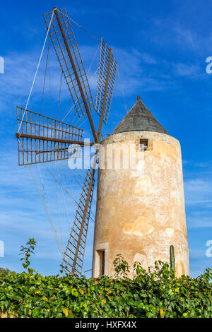 Windmühle, Getreidemühle, Typ: Molino Harinero - Torre Ancha at Hilton Hotel Sa Torre Mallorca, Llucmajor, Mallorca, Spanien Stockfoto