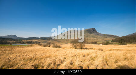 NORTH WALES, UK - MÄRZ 2017 - EIN BLICK AUF DIE BEDDGELERT TAL IN NORD-WALES MIT MOEL HEBOG IN DER FERNE Stockfoto