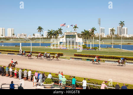 HALLANDALE BEACH, USA - 11. März 2017: Pferderennen auf der Rennbahn Gulfstream Park in Hallandale Beach, Florida, Vereinigte Staaten von Amerika Stockfoto