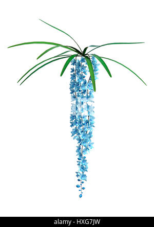 3D-Rendering wilde Orchidee blüht isoliert auf weißem Hintergrund Stockfoto