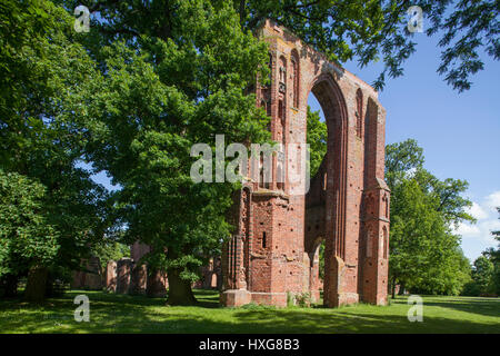 Klosterruine Eldena, Greifswald, Mecklenburg-Vorpommern, Deutschland, Europa, Ruinen ich das Kloster Eldena, Greifswald, Mecklenburg-Vorpommern, Stockfoto