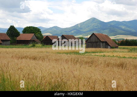 A few barns in a field, Slovakia. Stockfoto