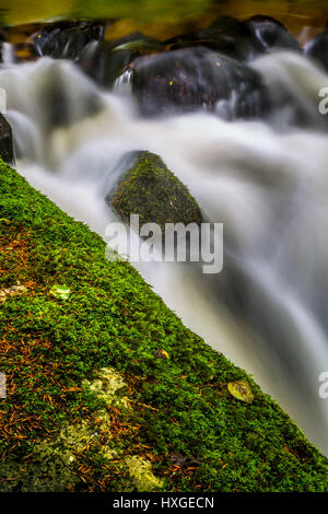 Schönen, sonnigen Tag am Golitha fällt, Bodmin Moor, Cornwall. Stockfoto