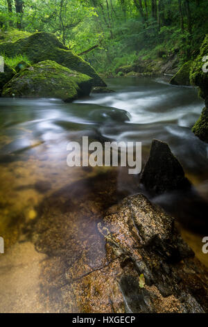 Schönen, sonnigen Tag am Golitha fällt, Bodmin Moor, Cornwall. Stockfoto