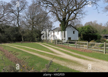 Typisch englische New Waldhütte Stockfoto