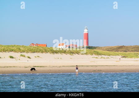 Mensch und Hund am Strand und De Cocksdorp Leuchtturm auf West friesischen Wattenmeer Insel Texel, Niederlande Stockfoto