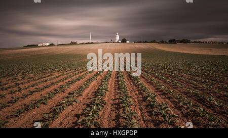 North Foreland Leuchtturm, Kent Stockfoto